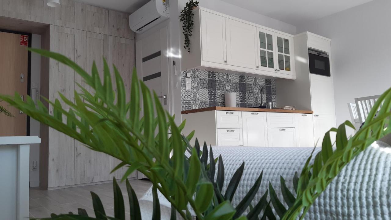Apartament Biala Foczka Lejlighed Stegna  Eksteriør billede
